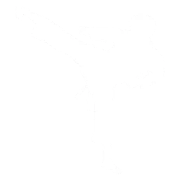 Kick