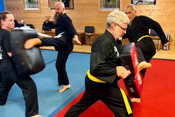 adults_training Clemson Martial Arts Tiny Tigers