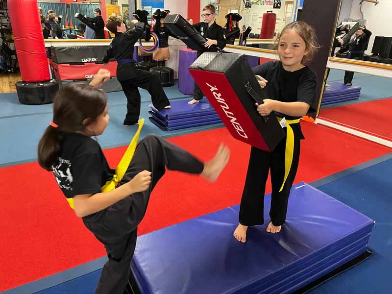 lil_dragons_kicking Instructor and Student Mentorship